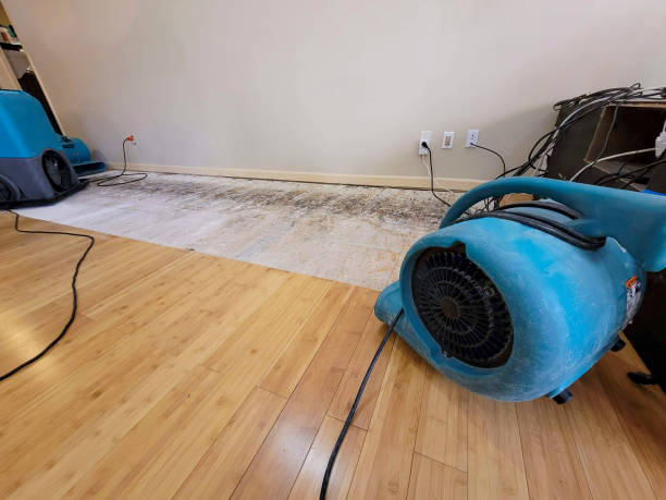 Professional Basement Flood Cleanup technician working in Carlstadt, NJ